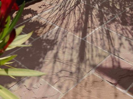 Lastre di arenaria di Modak, terrazza con piante in primo piano