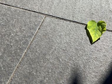 Lastra di terrazza in basalto Takeda dall'alto con decorazione a foglie