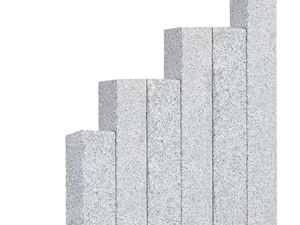 Silver Classico grigio chiaro Palizzate: alta qualità e bellezza Palizzate in granito Silver Classico 12x12 cut_free_plate