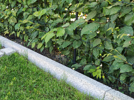 Cordoli per prato Silver Granit Classico con prato