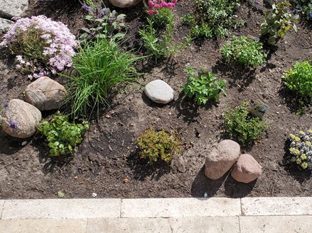 Foto_del_cliente_Grlitz_lawn_edge_terrace_finish