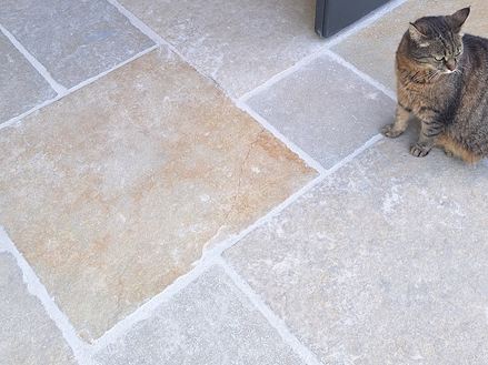 Galleria del Gatto di Sabbia_di_Calcare_Giallo_di_Giallo 1