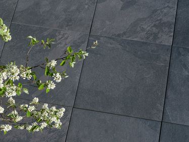 Piastrelle in ardesia Alpine Black scuro con un ramo in primo piano