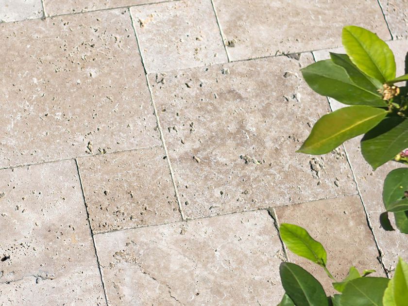 Lastra di travertino Medium primo piano con piante