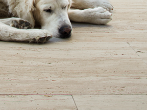 Lastre per terrazze Travertino Natura dog close Galleria 1