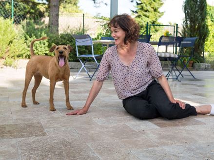 Donna seduta su una terrazza con lastre di travertino marrone, un cane accanto a lei