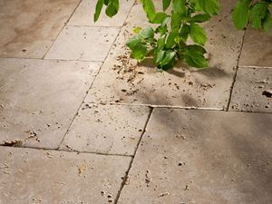 Lastre di travertino rustico, burattate, un ramo verde che sporge dall'alto nell'immagine