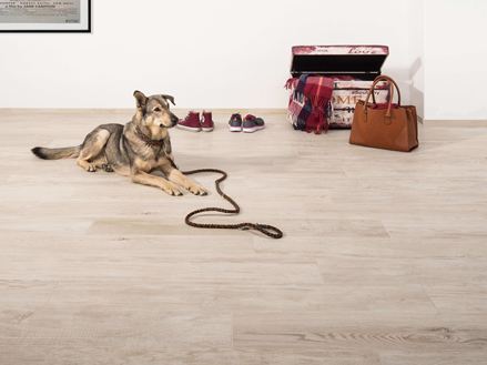 Ingresso con piastrelle in pietra fine effetto legno, un cane sdraiato sul pavimento, una cassapanca e una borsetta sullo sfondo