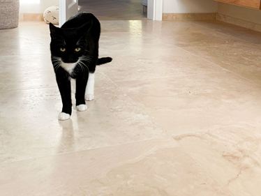 Piastrelle in travertino - Classic Light - Gatto - Bagno