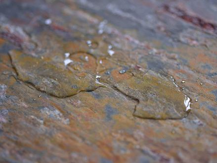 Piastrelle del bagno bagnate01