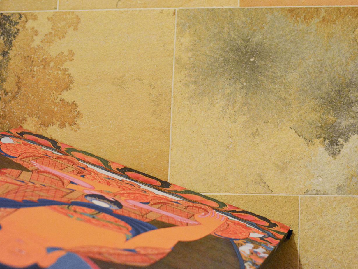 Primo piano del calcare di Solnhofen con affascinanti inclusioni