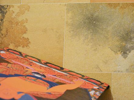 Primo piano del calcare di Solnhofen con affascinanti inclusioni