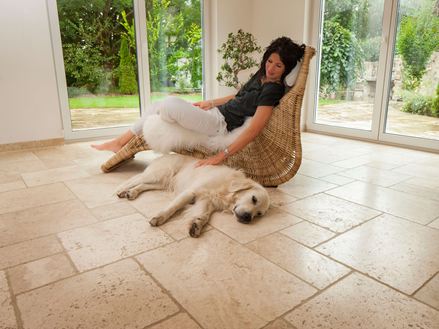 Light, donna su una sedia a sdraio con cane