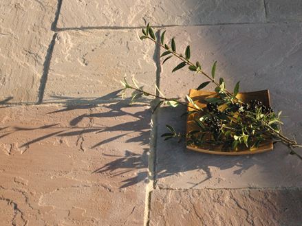 Lastre di arenaria di Modak con ciotola decorativa, bacche e rami