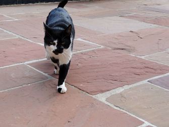 Lastra di pietra naturale Sandstone Modak a spacco naturale sotto il lato segato08