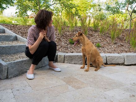 Persone e cani si godono il bellissimo pavimento in travertino