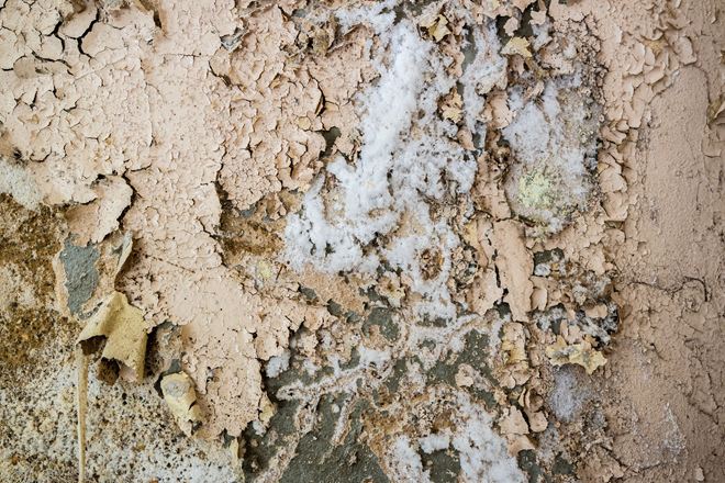 Pietra naturale con efflorescenze