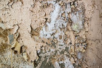 Pietra naturale con efflorescenze