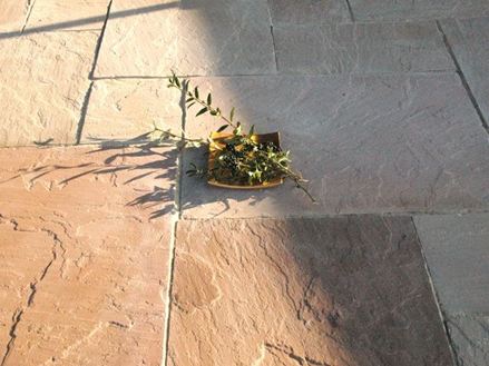 Lastre di arenaria Modak spaccate grandi