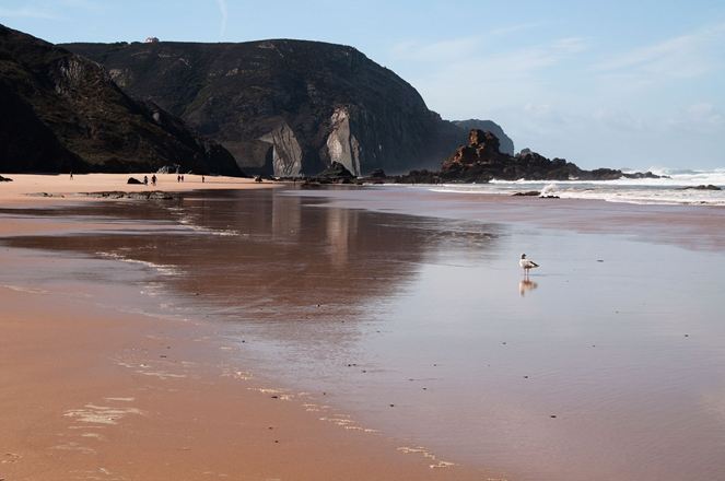 Dare il nome a una pietra naturale speciale: Rocce di ardesia su una spiaggia del Portogallo