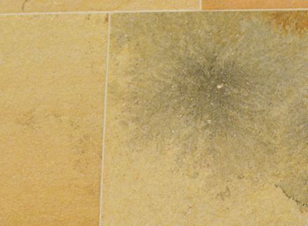 Un'attrazione per gli occhi: le inclusioni floreali e fossili conferiscono al "Solnhofener" il suo fascino particolare